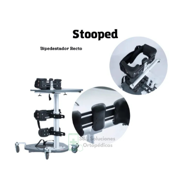 Bipedestador Recto Stooped.